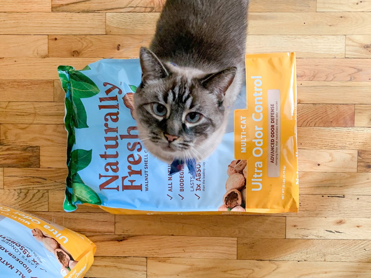 Cat food odor control cheap