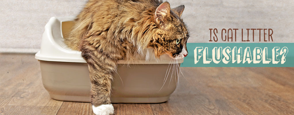 Find Your Formula - Naturally Fresh Cat Litter