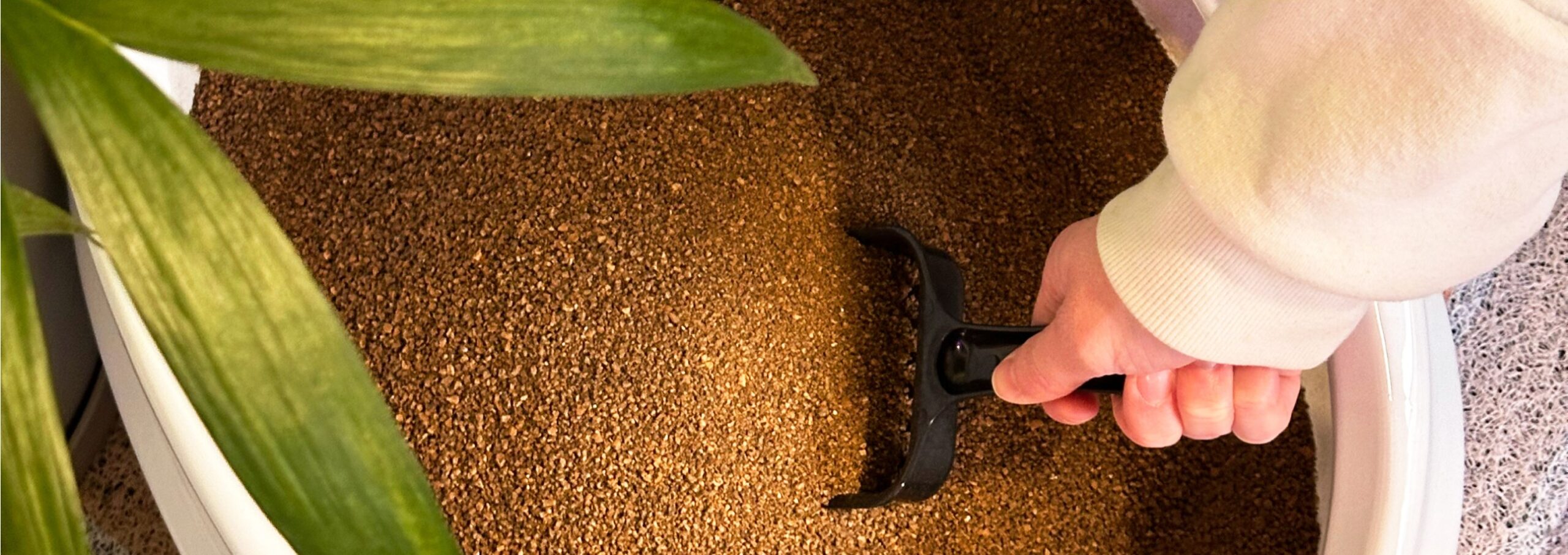 close-up of hand scooping walnut litter in litter box near house plant